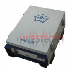 PicoCell 900 SXV 